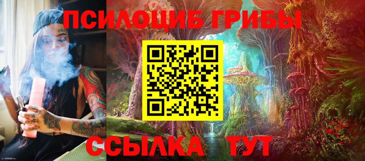 Качканар  Галлюциногенные грибы прущие грибы  Псилоцибиновые грибы прущие грибы  Вход с VPN 