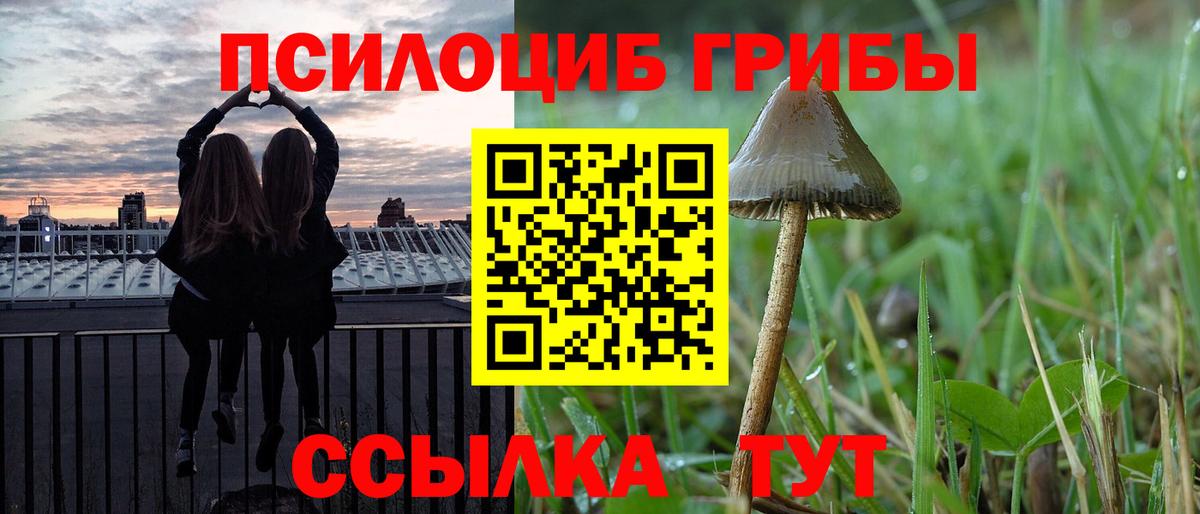 Псилоцибиновые грибы Magic Shrooms Качканар